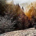 Talidyll Am Diemelsee An Der Talsperre - 4 Betten 1 Schlafsofa Bis Zu 5 Gästen - Nähe Willingen - Skigebiet - Marsberg - Brilon - Privater Eingang - Auch Für Monteure Geeignet * Helminghausen
