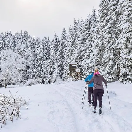 Lejlighed Talidyll Am Diemelsee An Der Talsperre - 4 Betten 1 Schlafsofa Bis Zu 5 Gaesten - Naehe Willingen - 2 Autominuten Zum Badesee - 10 Min Zu Fuss - Marsberg - Brilon - Privater Eingang - Auch Fuer Monteure Geeignet *