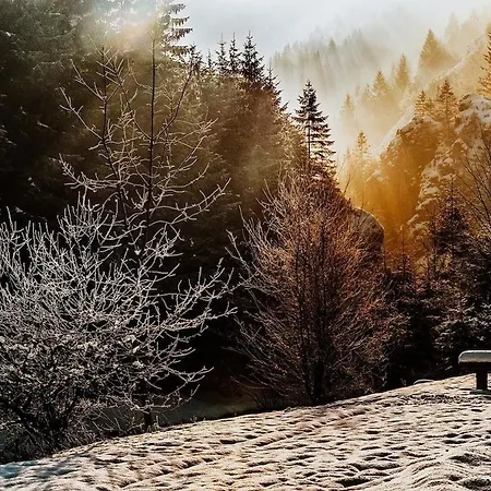 Talidyll Am Diemelsee An Der Talsperre- 4 Betten 1 Schlafsofa Bis Zu 5 Gästen - 2 Autominuten Bis Zum Badestrand - Nähe Willingen - Marsberg - Brilon - Privater Eingang * Helminghausen