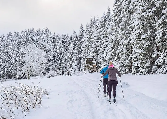 Διαμέρισμα Talidyll Am Diemelsee An Der Talsperre - 4 Betten 1 Schlafsofa Bis Zu 5 Gaesten - Naehe Willingen - Skigebiet - Marsberg - Brilon - Privater Eingang - Auch Fuer Monteure Geeignet *