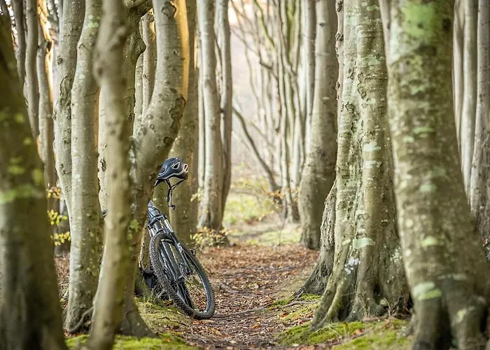 Apartment Talidyll Am Diemelsee An Der Talsperre- 4 Betten 1 Schlafsofa Bis Zu 5 Gästen - 2 Autominuten Bis Zum Badestrand - Nähe Willingen - Marsberg - Brilon - Privater Eingang