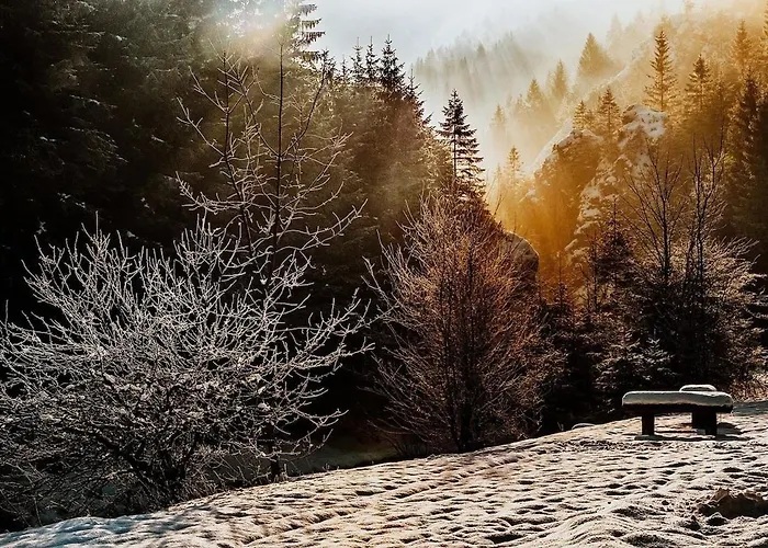 Talidyll Am Diemelsee An Der Talsperre - 4 Betten 1 Schlafsofa Bis Zu 5 Gaesten - Naehe Willingen - Skigebiet - Marsberg - Brilon - Privater Eingang - Auch Fuer Monteure Geeignet * Helminghausen